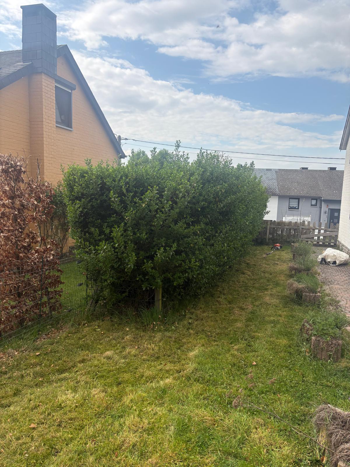 Jardin arrière entretenu
